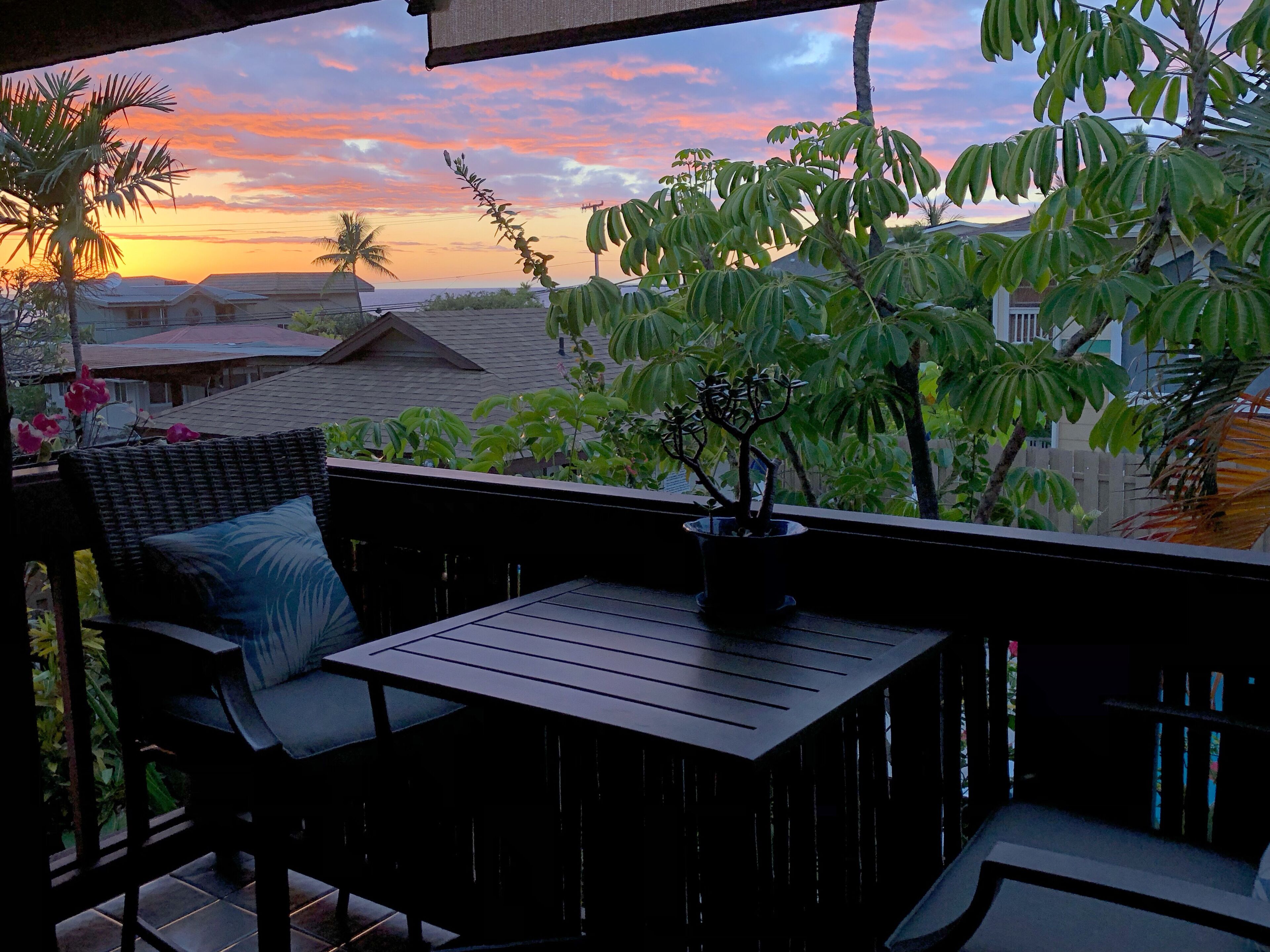 Condo in Paradise overlooking the Pool and the Pacific