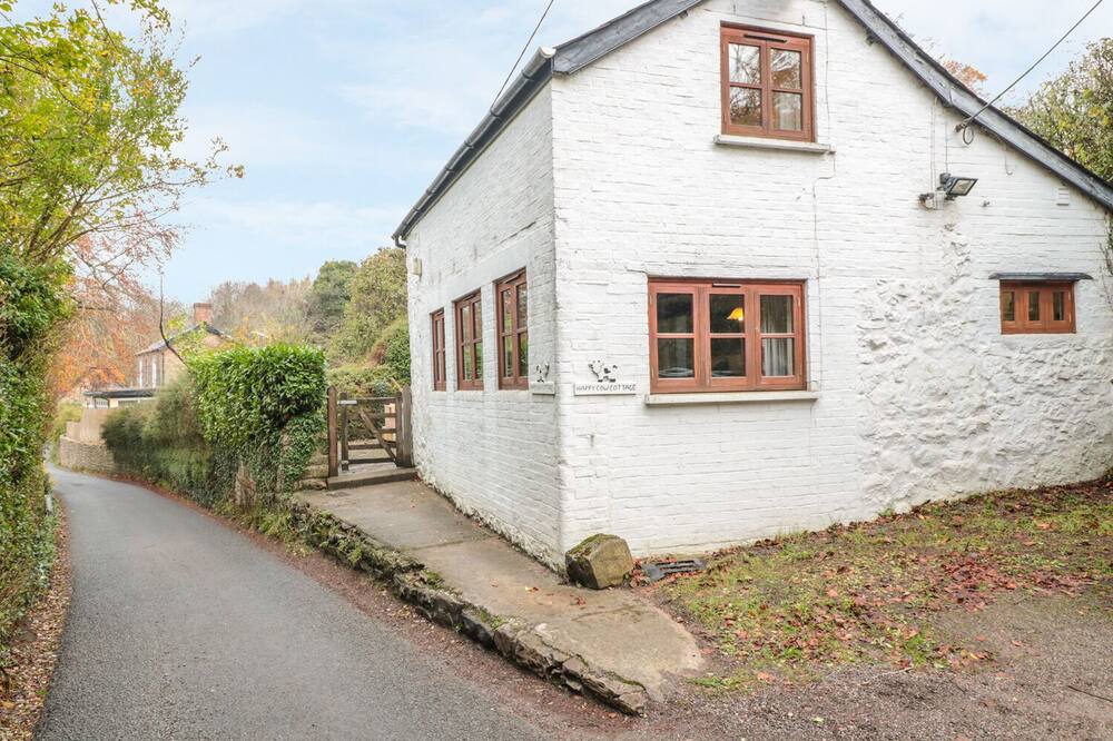 HAPPY COW, pet friendly, with open fire in Symonds Yat
