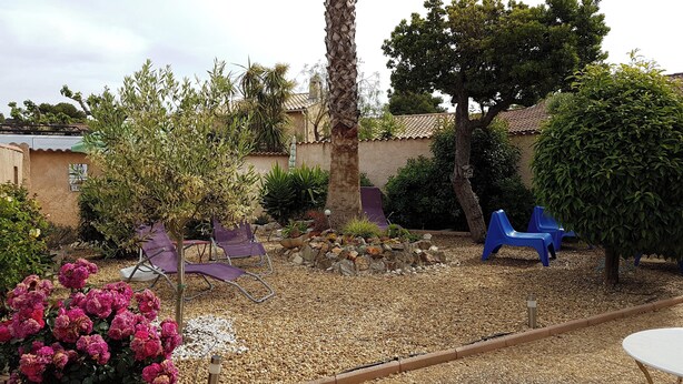 A garden with a variety of plants, a palm tree, and outdoor seating.