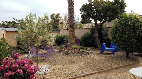 Ein Garten mit verschiedenen Pflanzen, einer Palme und Sitzmöglichkeiten im Freien.