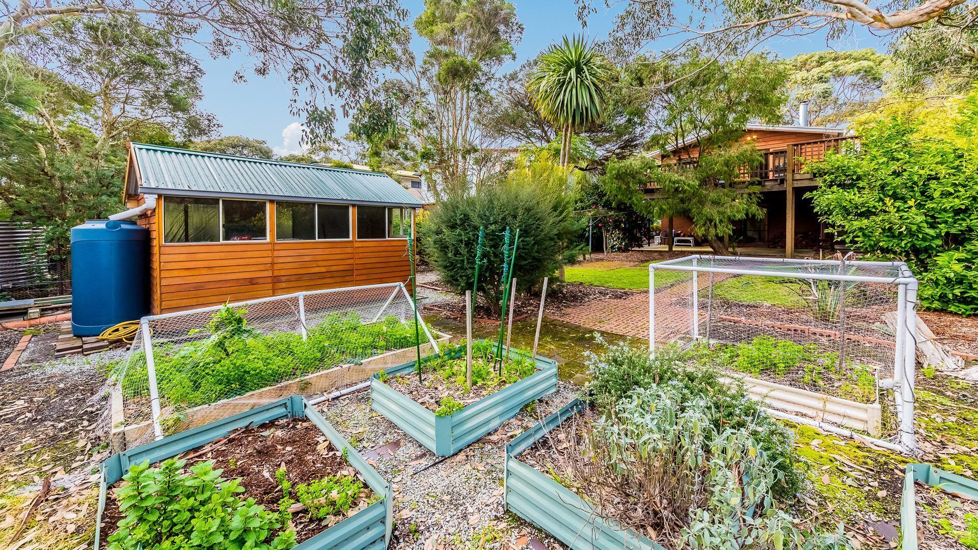 A garden with raised beds, a blue water tank, and a wooden building.