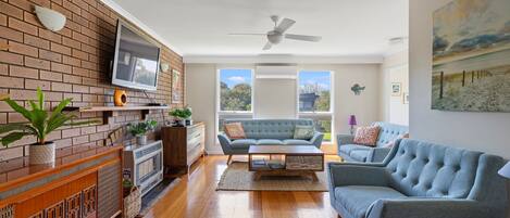 TV, DVD player, video library