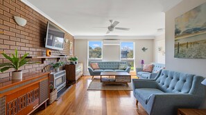 TV, DVD player, video library