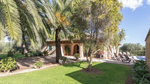 A well-maintained garden with palm trees, a swimming pool, and lounge chairs.