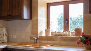 A kitchen with wooden cabinets, a sink, and a window with potted plants.