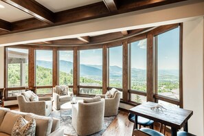 TV, fireplace, streaming services, video library