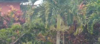 Retiro de sanación de Sekhmet 