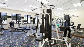 Een sportschool met diverse fitnessapparaten, grote ramen en een kamerbreed tapijt met een patroon.