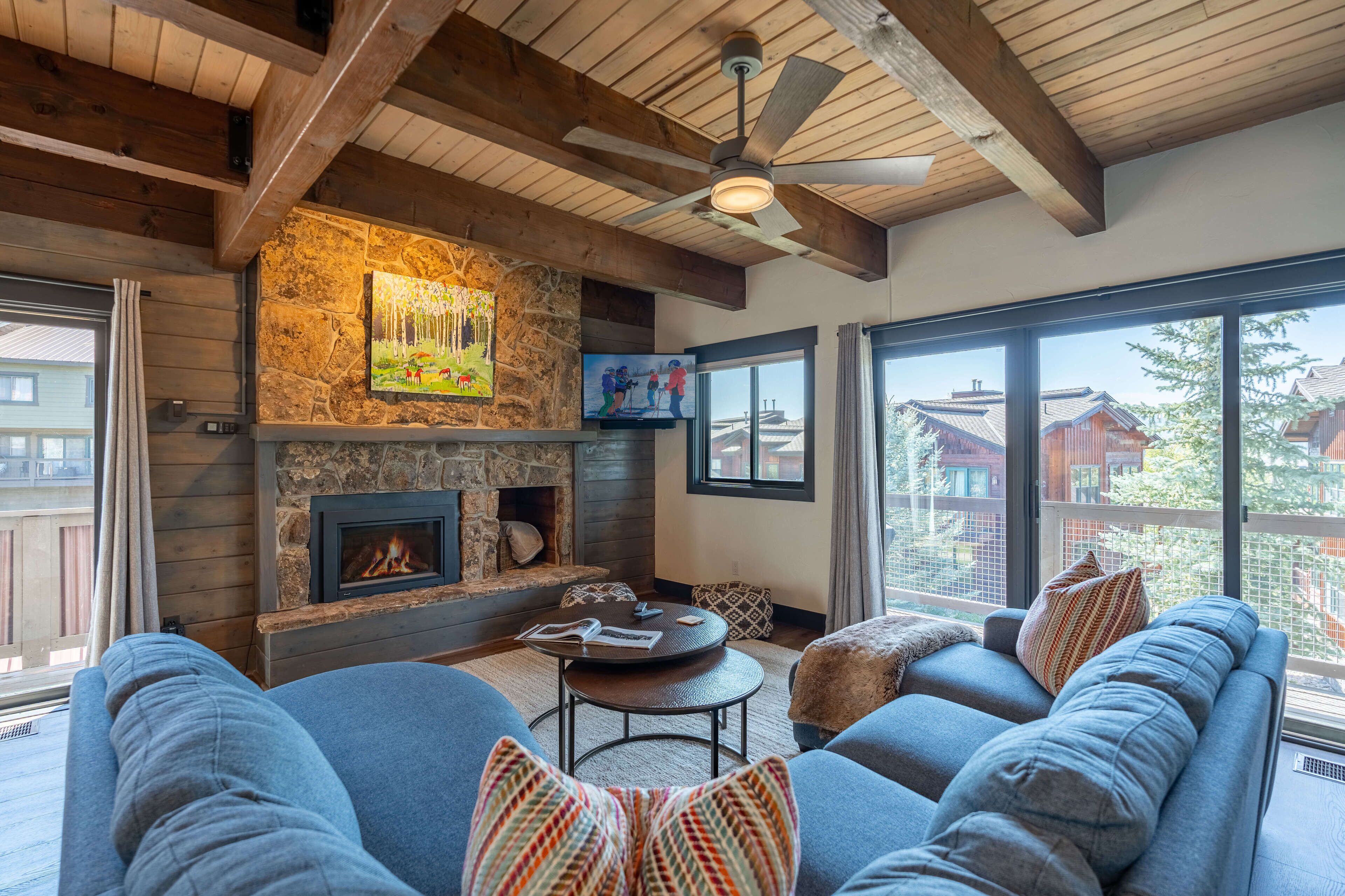 Télévision, cheminée, lecteur de DVD, chaîne hi-fi