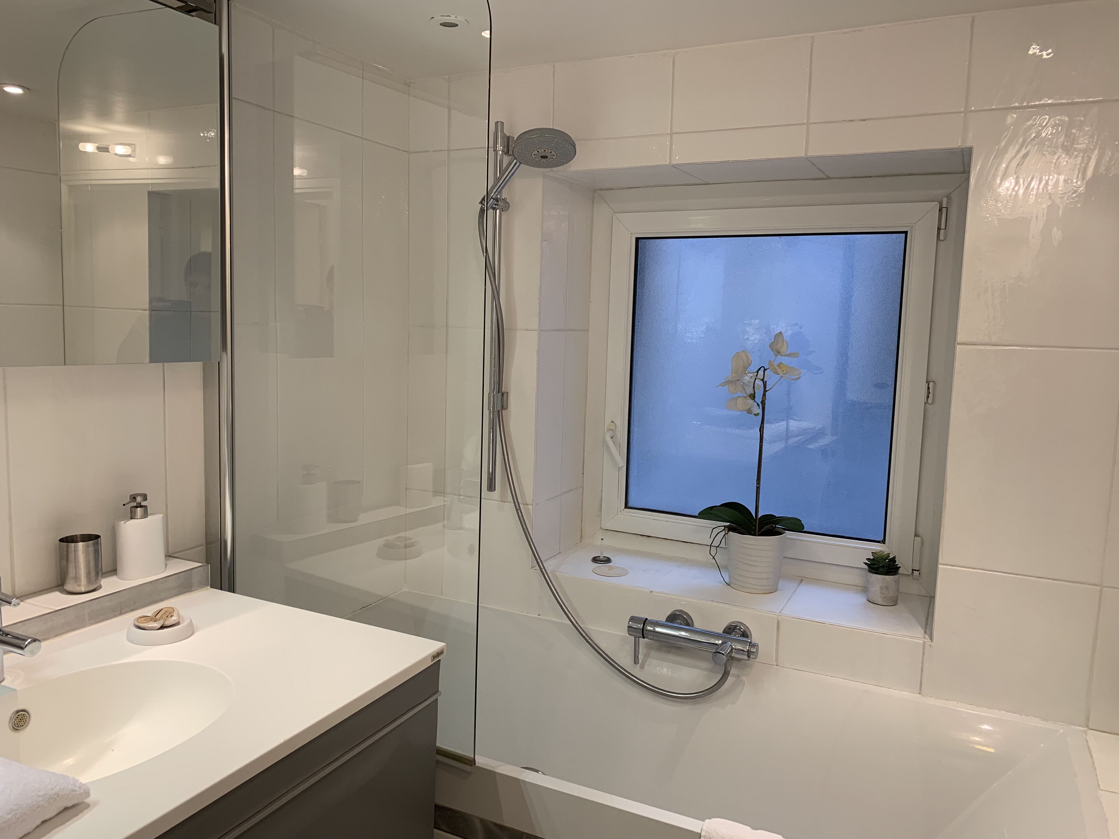 Une salle de bain moderne avec une douche en verre, un lavabo blanc et une fenêtre ornée d’une orchidée en pot.