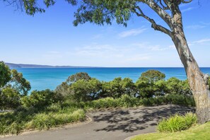 A coastal road with a tree-lined path leading to the sea. - Apartment 7 Kalimna (Lorne)