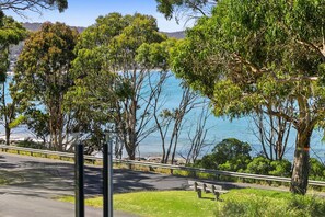 A coastal road with a bench and trees overlooking a body of water.