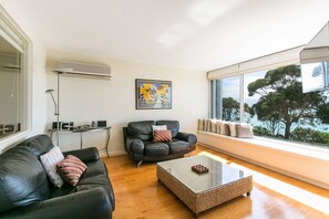 TV, music library, stereo