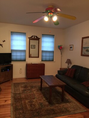 A living room with a ceiling fan, two windows with blinds, a television, a wooden cabinet, a sofa, and a patterned rug.
