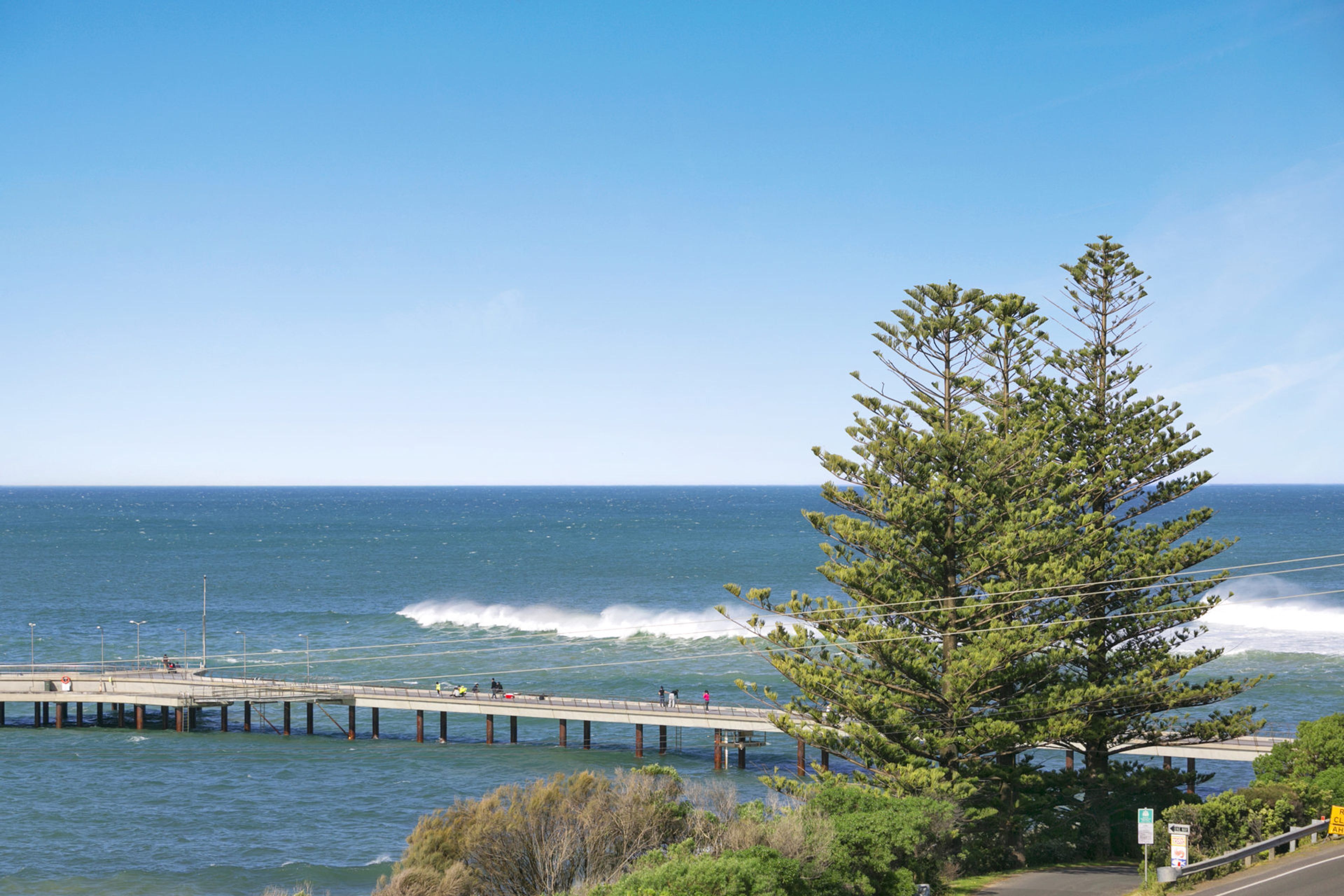 A coastal scene with a pier extending into the sea, a large evergreen tree, and a clear sky.