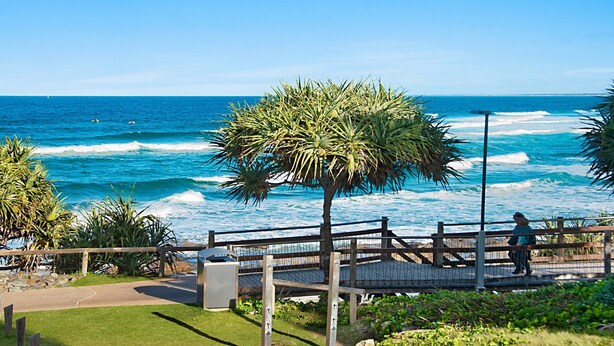 A coastal walkway with a palm tree, ocean view, and a person walking.