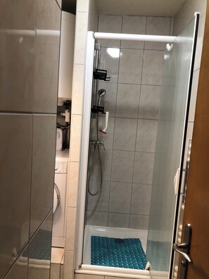Shower, hair dryer, toilet paper