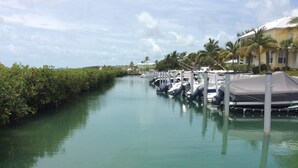 Ein Yachthafen mit vertäuten Booten an einem ruhigen Wasserweg, umgeben von üppiger Vegetation und Palmen.