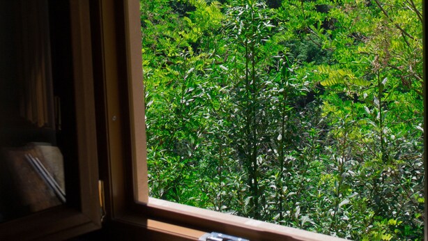 A window view of a lush green landscape with trees and hills in the distance. - Friendly Quiet Rustic 6/8 Sleeps Apt Near Woods (Pisa)
