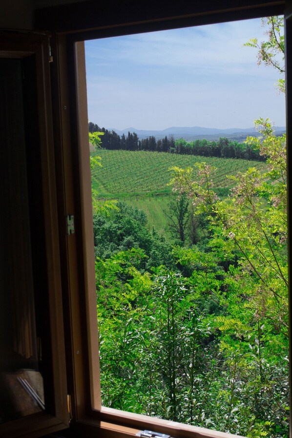 Interior - Friendly Quiet Rustic 6/8 Sleeps Apt Near Woods (Pisa)