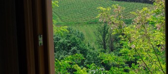 Friendly Quiet Rustic 6/8 Sleeps Apt Near Woods