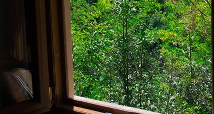 Freundlich Ruhig Rustic 08.06 Schlafen Apt in der Nähe von Woods