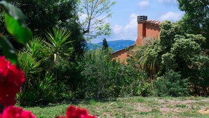 A garden with red flowers, green grass, and a building with a red roof in the background. - Friendly Quiet Rustic 6/8 Sleeps Apt Near Woods (Pisa)