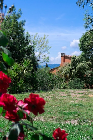 Property grounds - Friendly Quiet Rustic 6/8 Sleeps Apt Near Woods (Pisa)