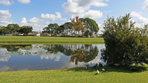 A serene park with a pond, ducks, and trees. - Waterview ,Private Pool, Family Friendly, Spacious and Relaxing (Kissimmee)