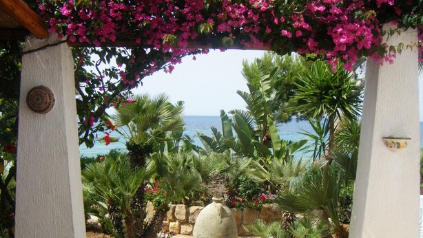 Uitzicht door een wit gewelfde doorgang met roze bloemen, op een strand met palmbomen en een grote decoratieve steen in het midden.