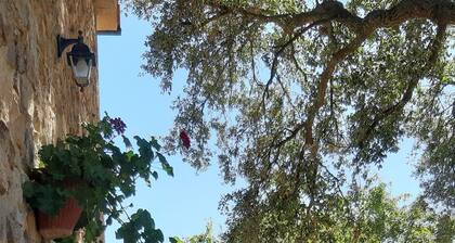 Farmhouse apartment between Siena and the sea relax pool WiFi 2 bedrooms 4-5p