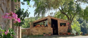 Apartamento de granja entre Siena y el mar relajarse piscina WiFi 2 dormitorios 4-5p