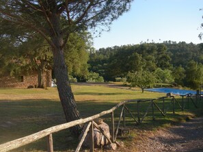 Terrein van de accommodatie