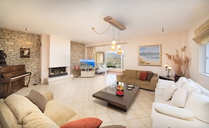 Smart TV, chimenea, reproductor de DVD y libros