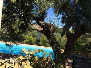 Piscina externa