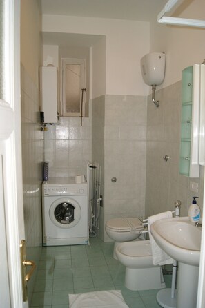 Shower, hair dryer, bidet, towels