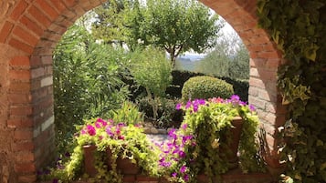 DĂ©tail de lâextĂ©rieur