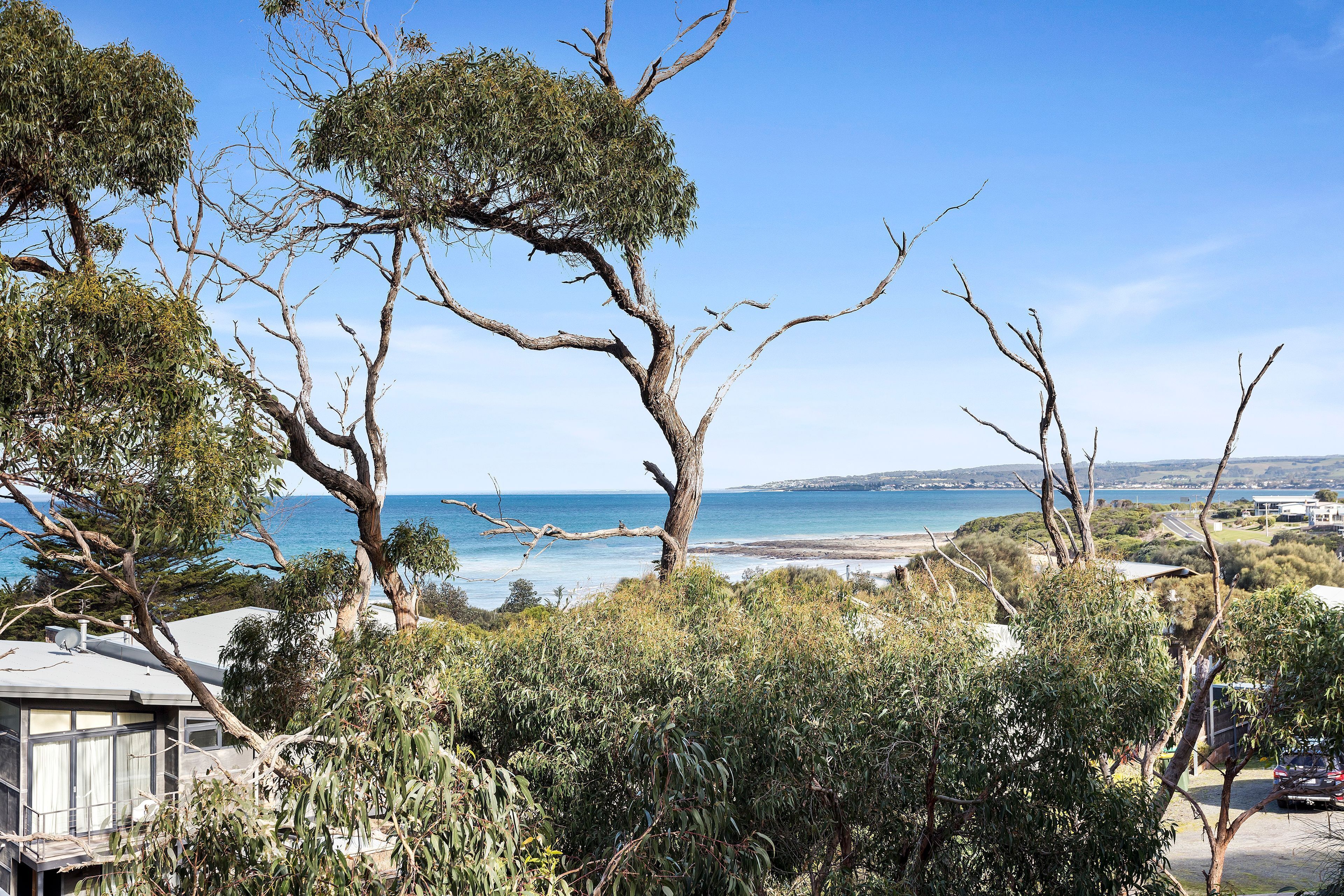 Eine Küstenlandschaft mit Bäumen, blauem Himmel und Blick auf das Meer.