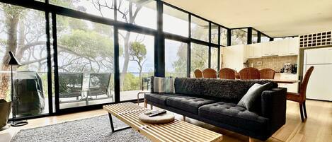 Televisión, chimenea, reproductor de DVD