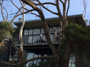 A modern building with a balcony, surrounded by trees. - Treetops Terrace 10 at C-Air (Skenes Creek, Apollo Bay)