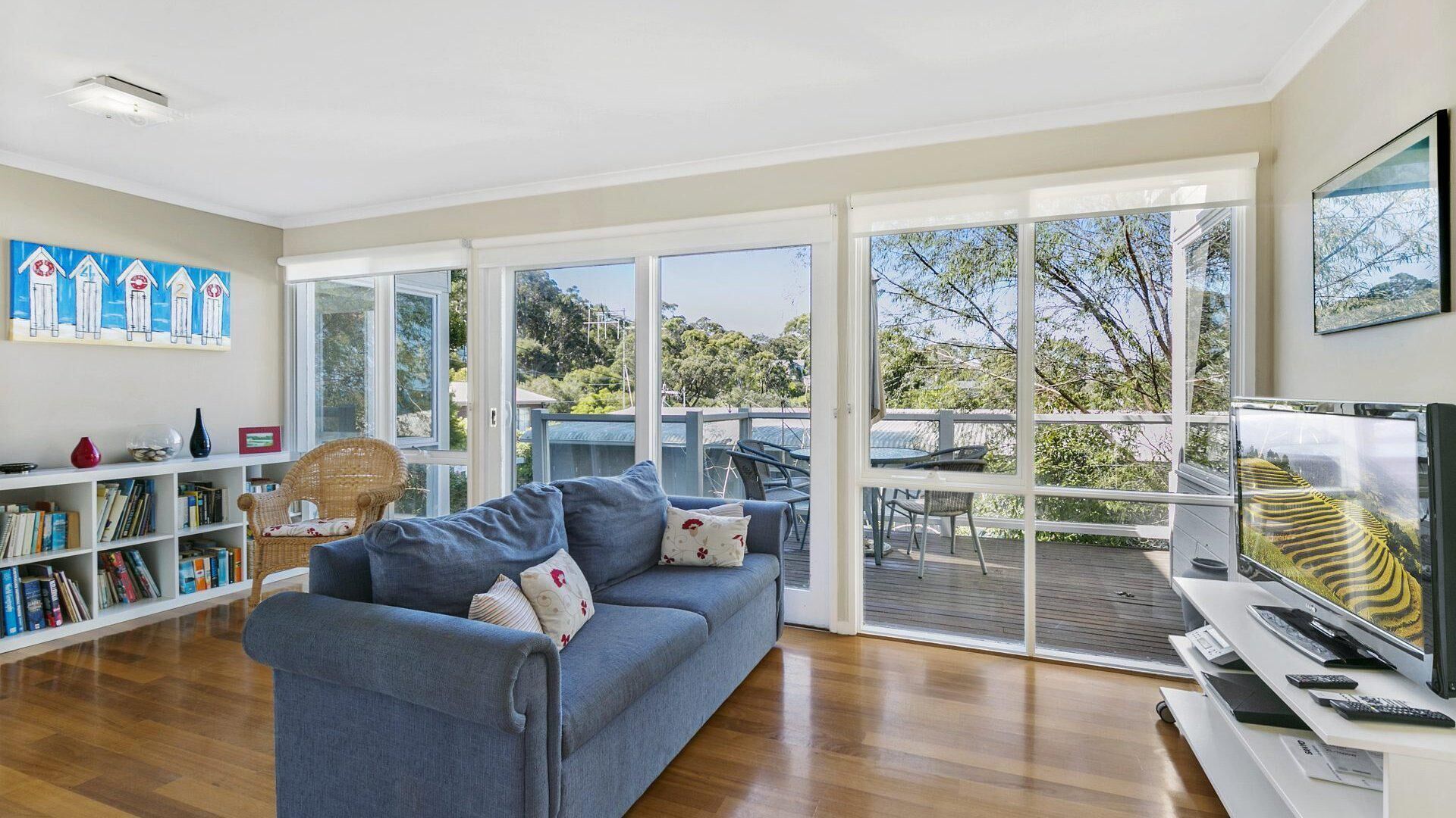 TV, DVD player, books, music library