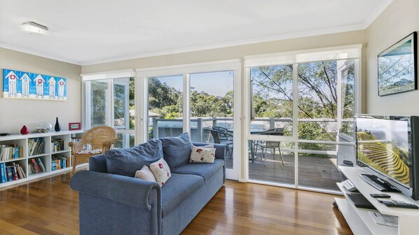 TV, DVD player, books, music library