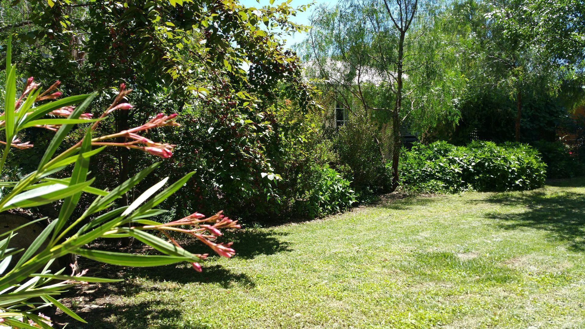 2 Bedroom Cottage in the beautiful Clare Valley — image 14