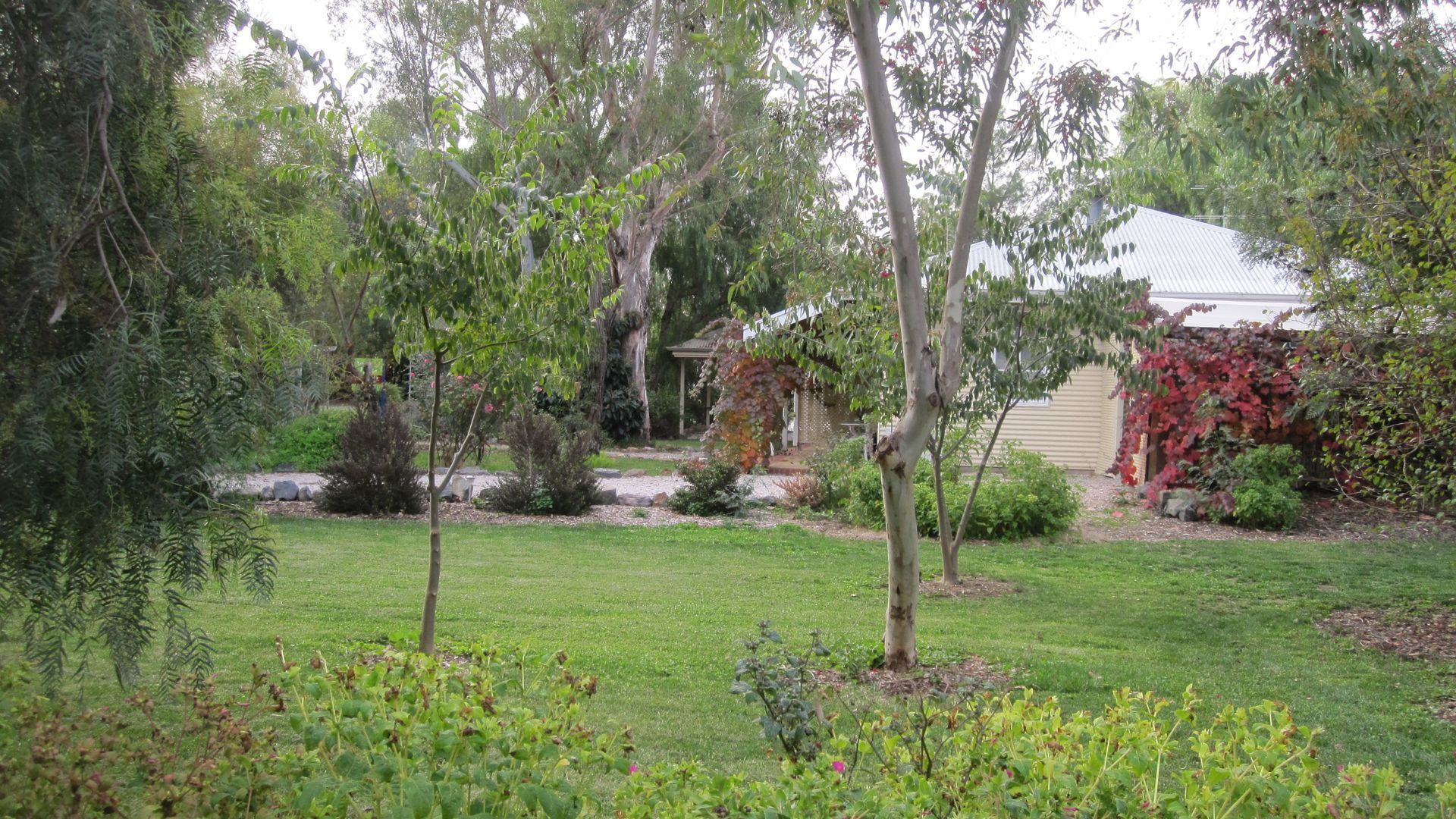 2 Bedroom Cottage in the beautiful Clare Valley — image 15