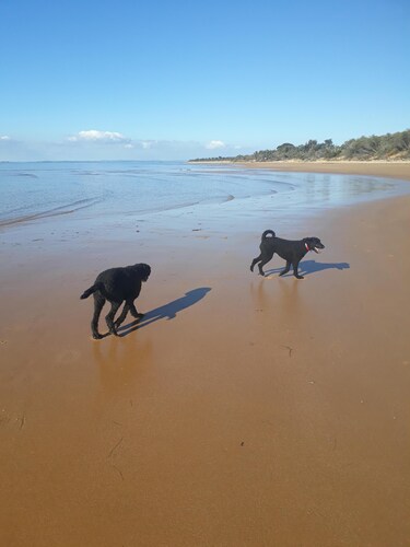Phillip Island beach house ; close to Silverleaves Beach