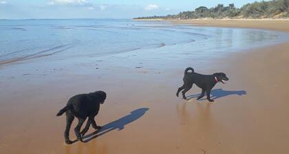 Phillip Island beach house ; close to Silverleaves Beach