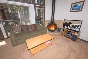 TV, fireplace, DVD player