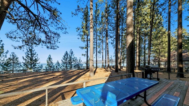 A picnic area with a blue table and benches, surrounded by tall trees and a view of the water. - Rustic 6 Bedroom Cabin - Lakefront, Central in Town Location! (South Lake Tahoe)
