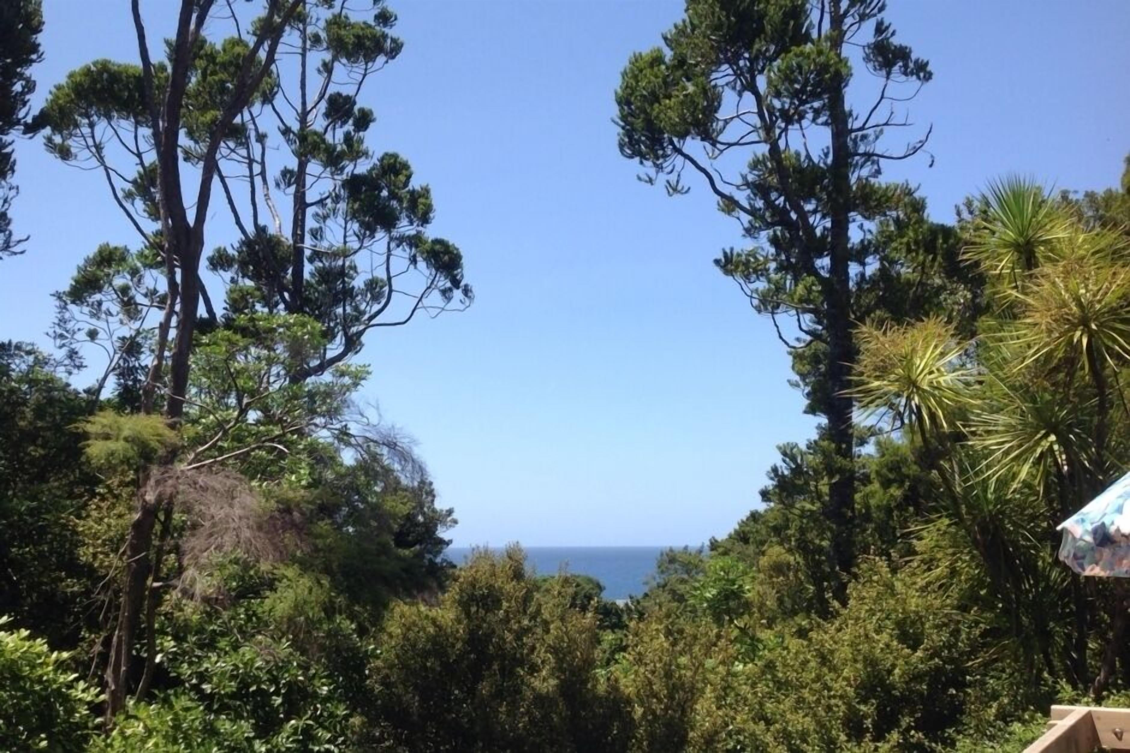 A coastal landscape with dense greenery and tall trees, overlooking the sea.
