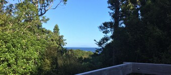 Klassisk Kiwiana bach